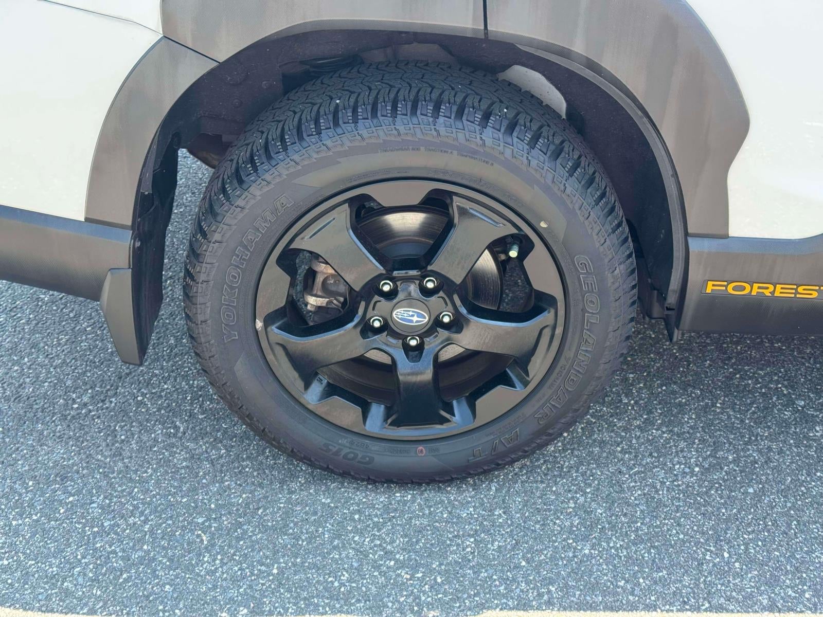 2023 Subaru Forester Wilderness