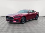 2025 Ford Mustang EcoBoost Fastback