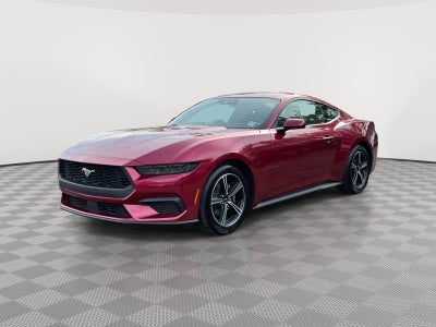 2025 Ford Mustang EcoBoost Fastback