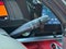 2025 Chevrolet Corvette E-Ray RWD Coupe 3LZ