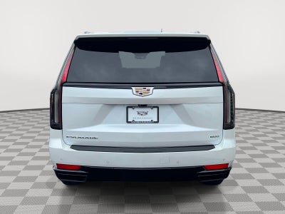 2023 Cadillac Escalade ESV 4WD Sport