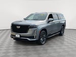2023 Cadillac Escalade ESV 4WD Sport