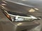 2023 Lexus NX 250 Premium
