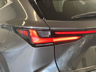 2023 Lexus NX 250 Premium