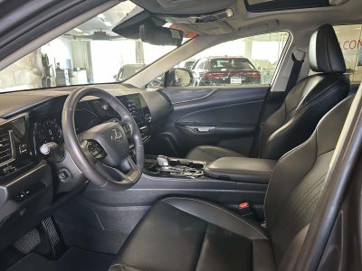 2023 Lexus NX 250 Premium