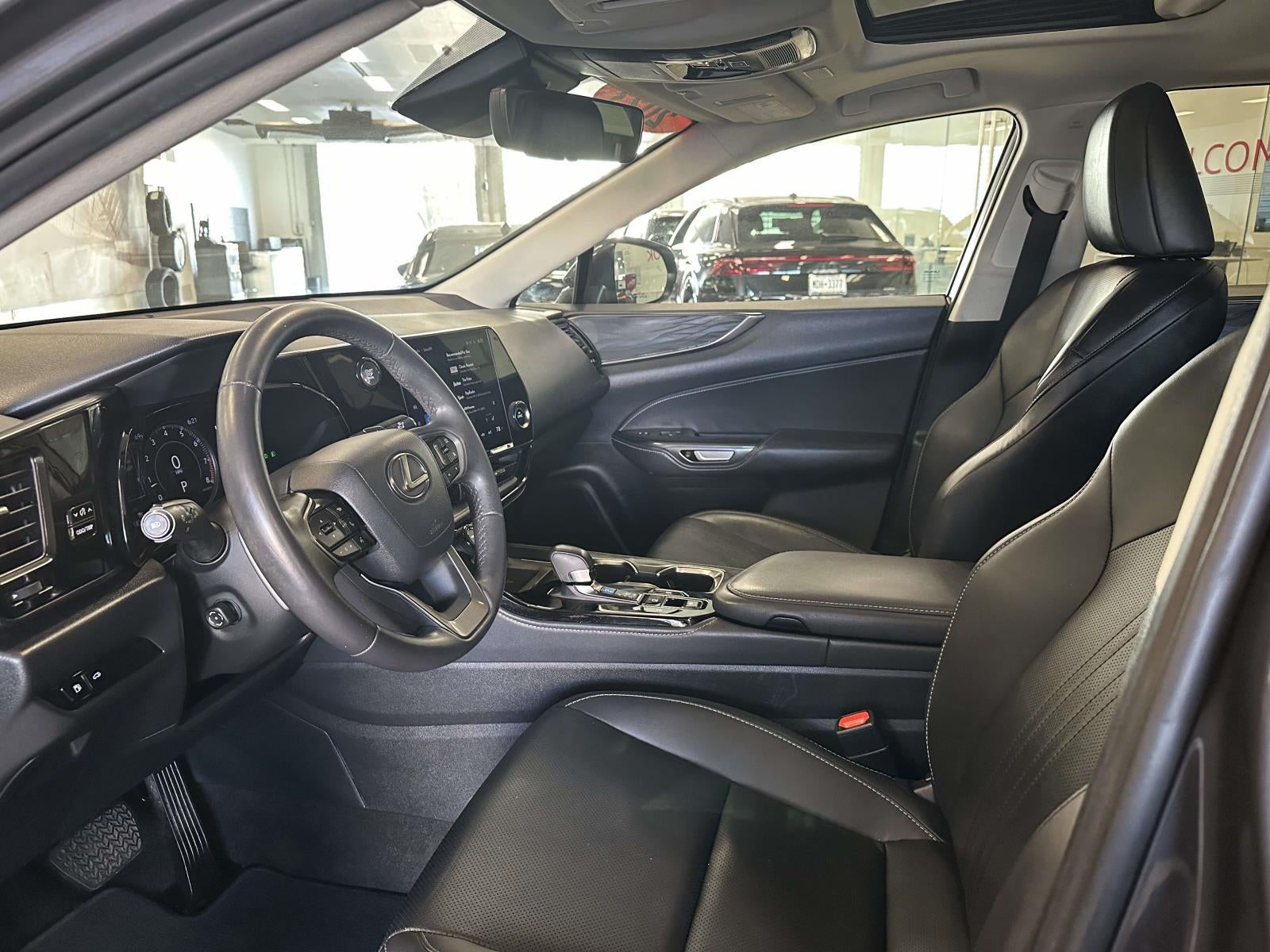 2023 Lexus NX 250 Premium