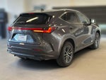 2023 Lexus NX 250 Premium