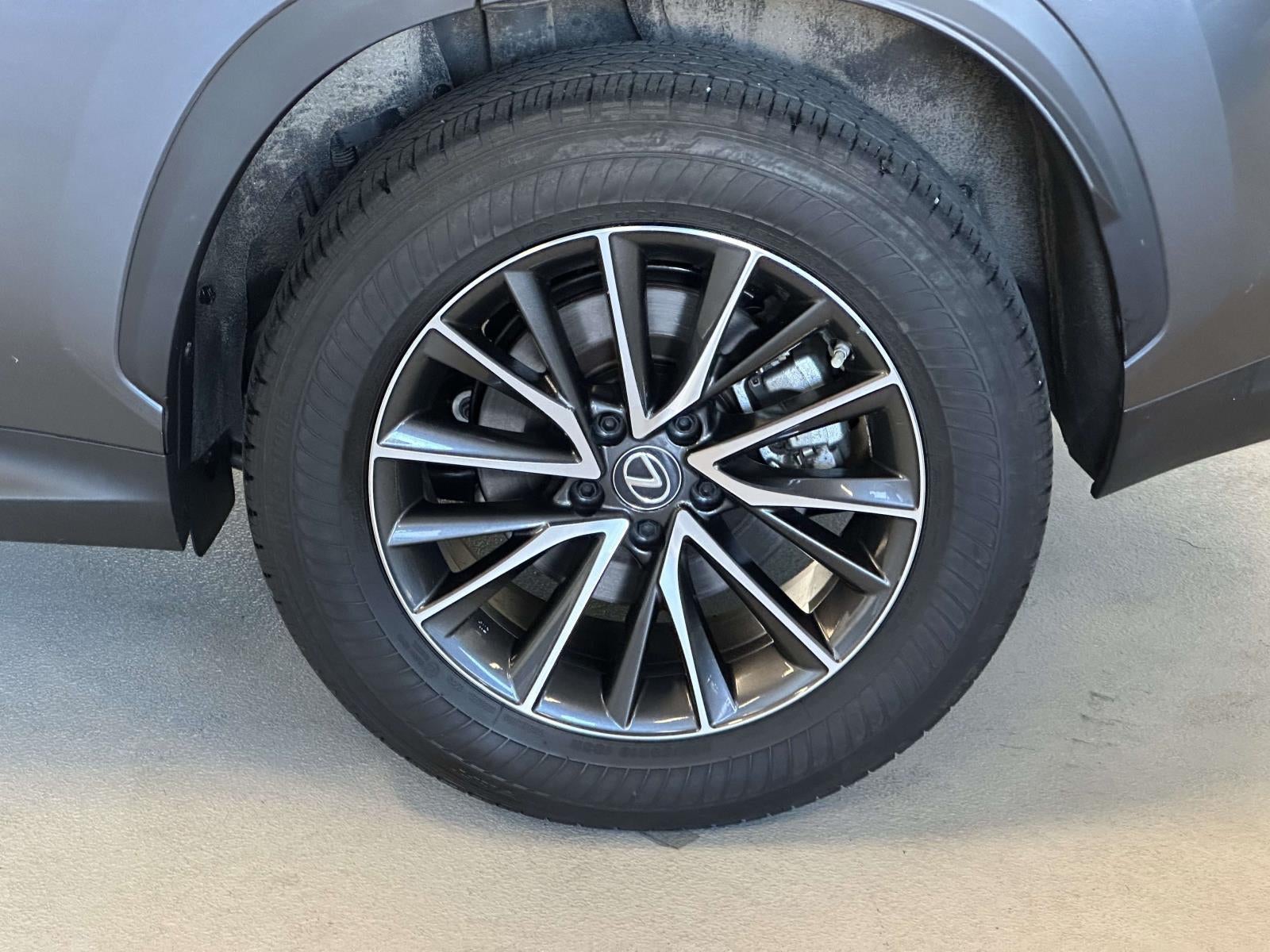 2023 Lexus NX 250 Premium