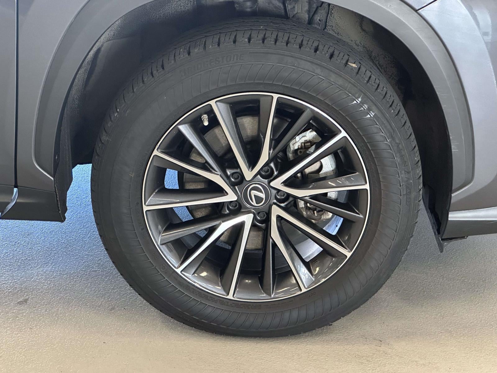 2023 Lexus NX 250 Premium