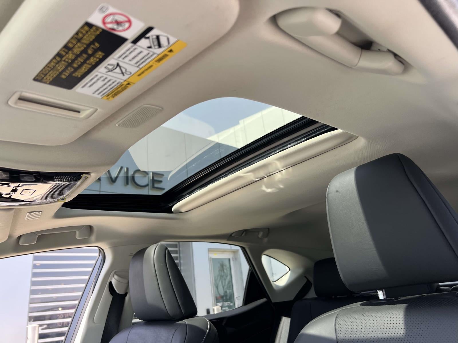 2023 Lexus NX 250 Premium