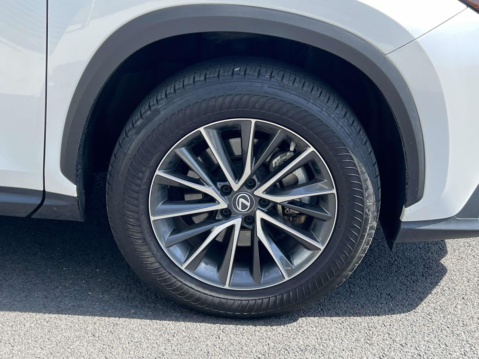 2023 Lexus NX 250 Premium