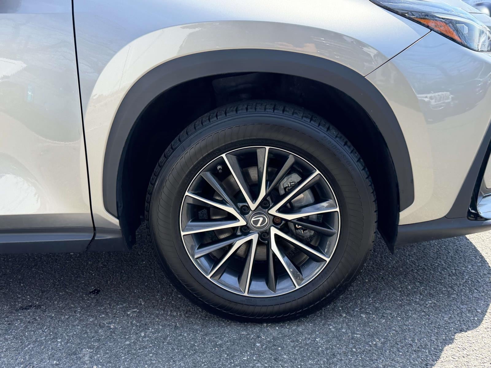 2023 Lexus NX 350 Premium