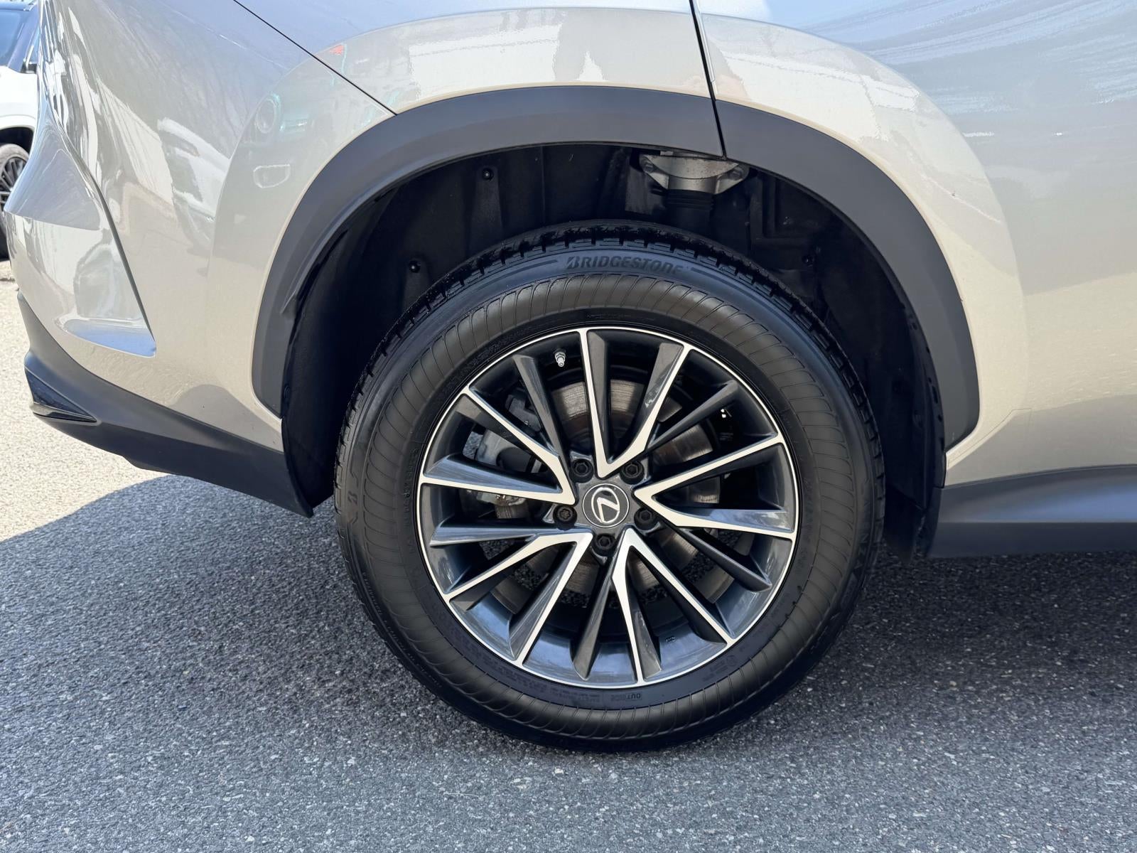 2023 Lexus NX 350 Premium