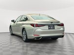 2023 Lexus ES 350 350