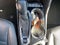 2024 Buick Encore GX Sport Touring AWD