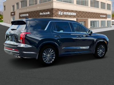 2025 Hyundai Palisade Calligraphy Night Edition